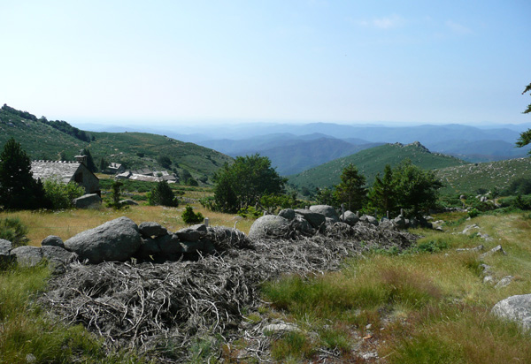 Typische Landschaft in den Cevennen